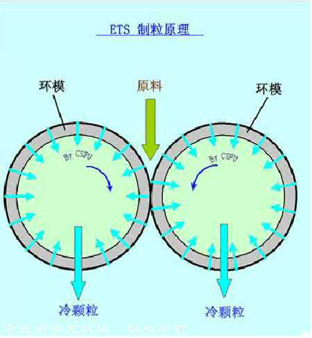 環(huán)模制粒原理